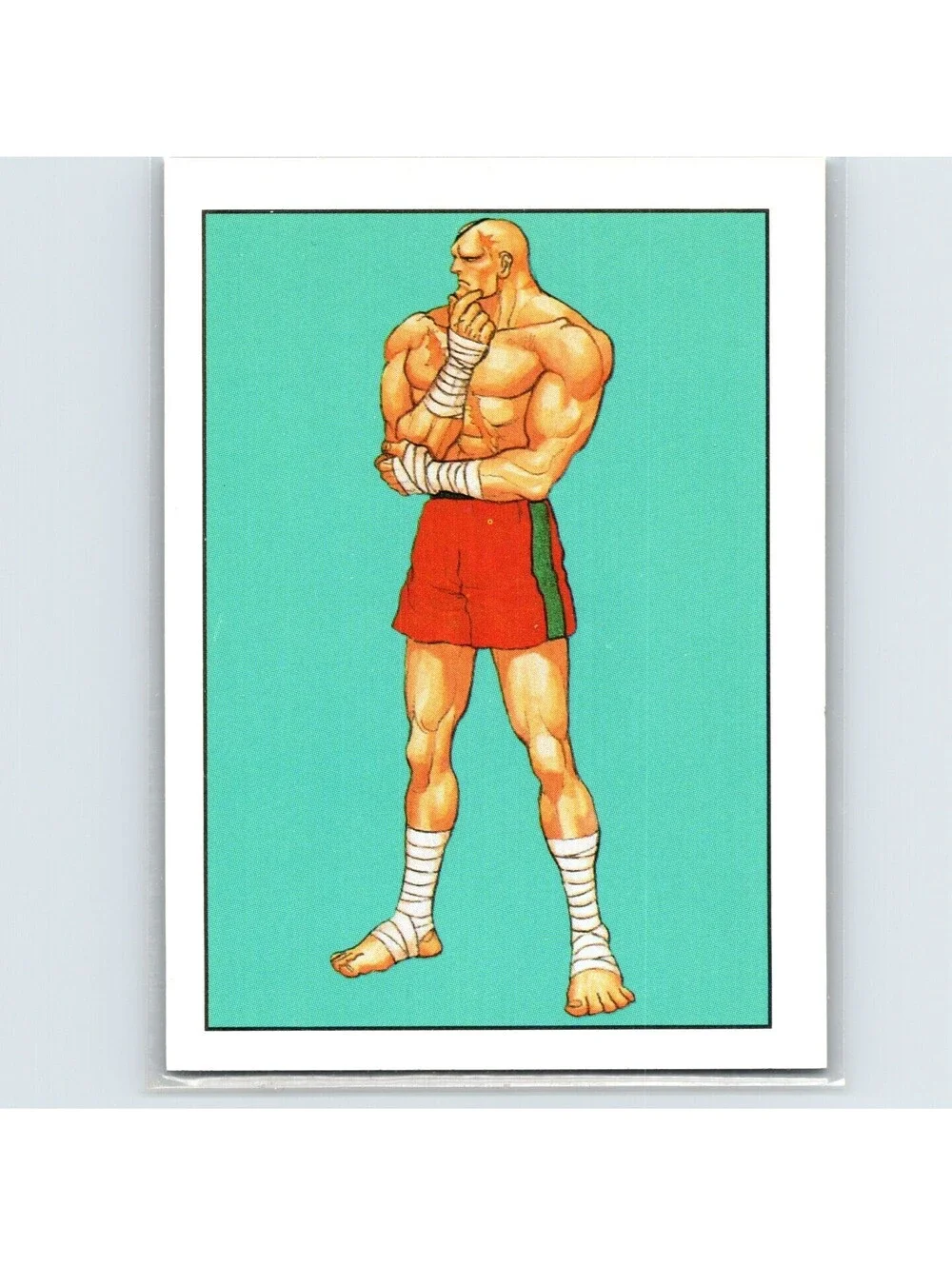 1993 Topps Street Fighter II Sagat #65